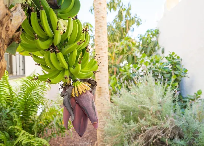 Villa La Laja With 5 Bedrooms And Sea View *