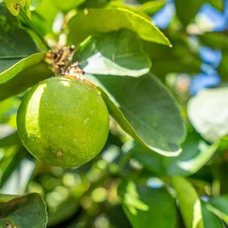 La Laja With 5 Bedrooms And Sea View Βίλα *