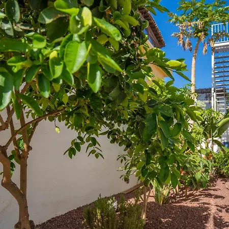La Laja 5 Bedrooms, Rooftop Terrace Sea View Villa Callao Salvaje