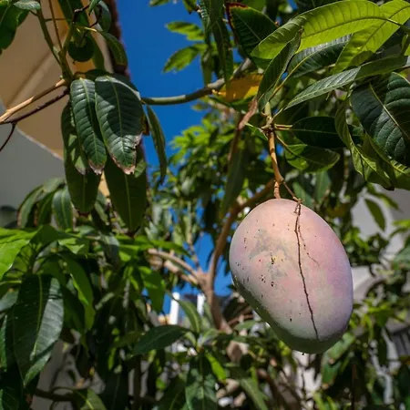 Βίλα La Laja With 5 Bedrooms And Sea View *