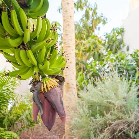 Villa La Laja With 5 Bedrooms And Sea View *