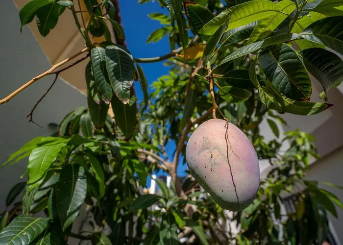 Villa La Laja With 5 Bedrooms And Sea View *