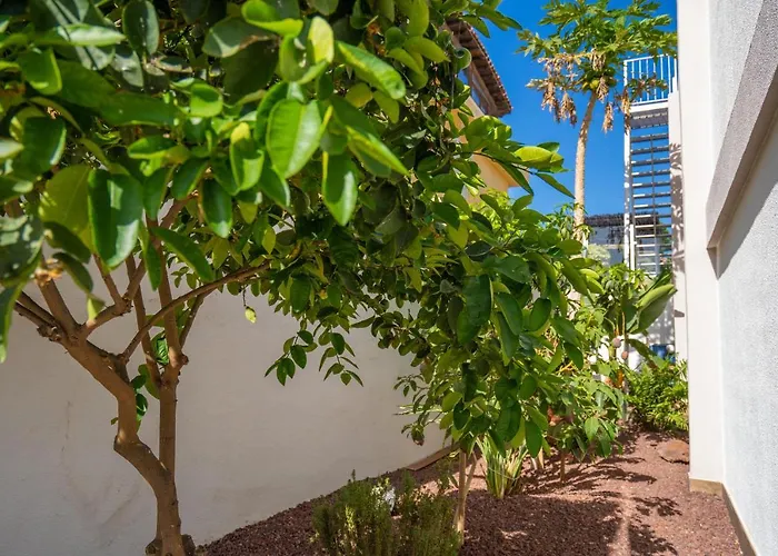 La Laja With 5 Bedrooms And Sea View ヴィラ カジャオ・サルバヘ